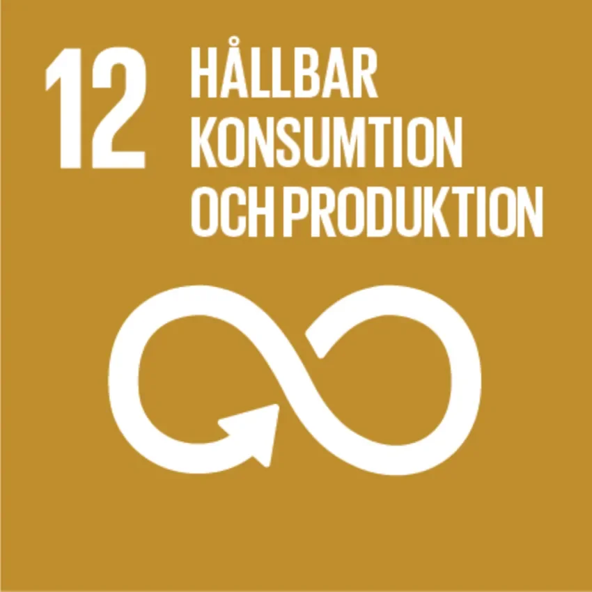 FN:s globala mål 12: Hållbar konsumtion och produktion