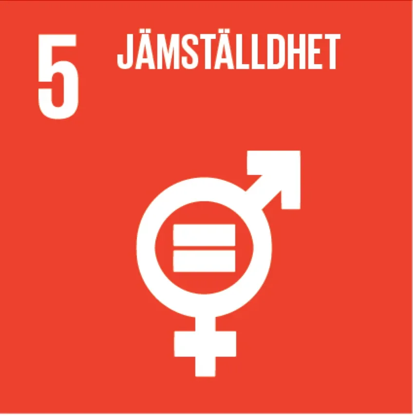 FN:s globala mål 5: Jämställdhet